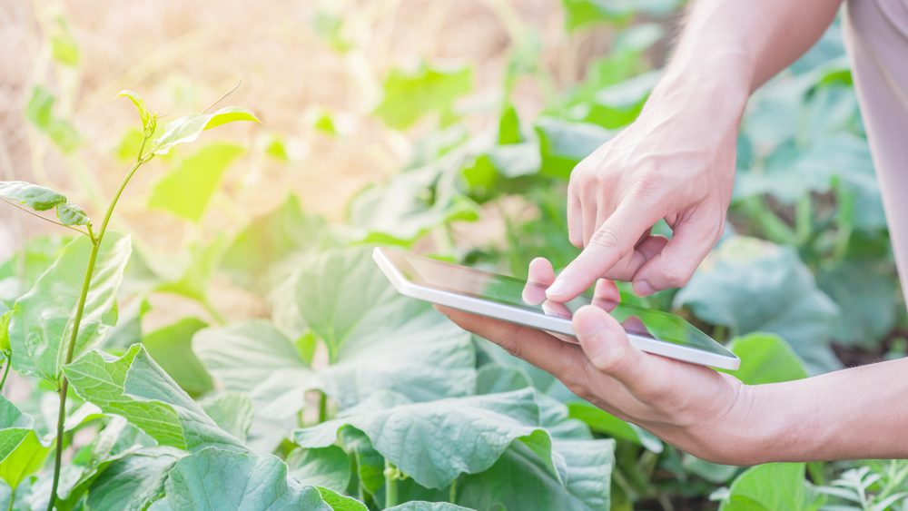 LIMS Agriculture Crop Science