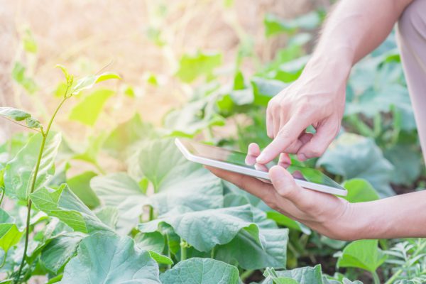 LIMS Agriculture Crop Science