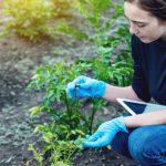 Cultivating Innovation: How AI-Enabled LIMS Is Transforming Agritech