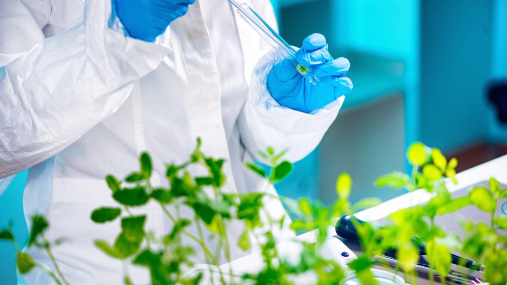 Agronomist Sample Analysis