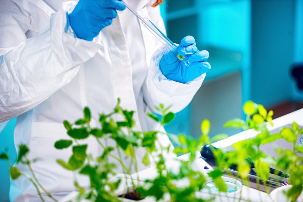 Agronomist Sample Analysis