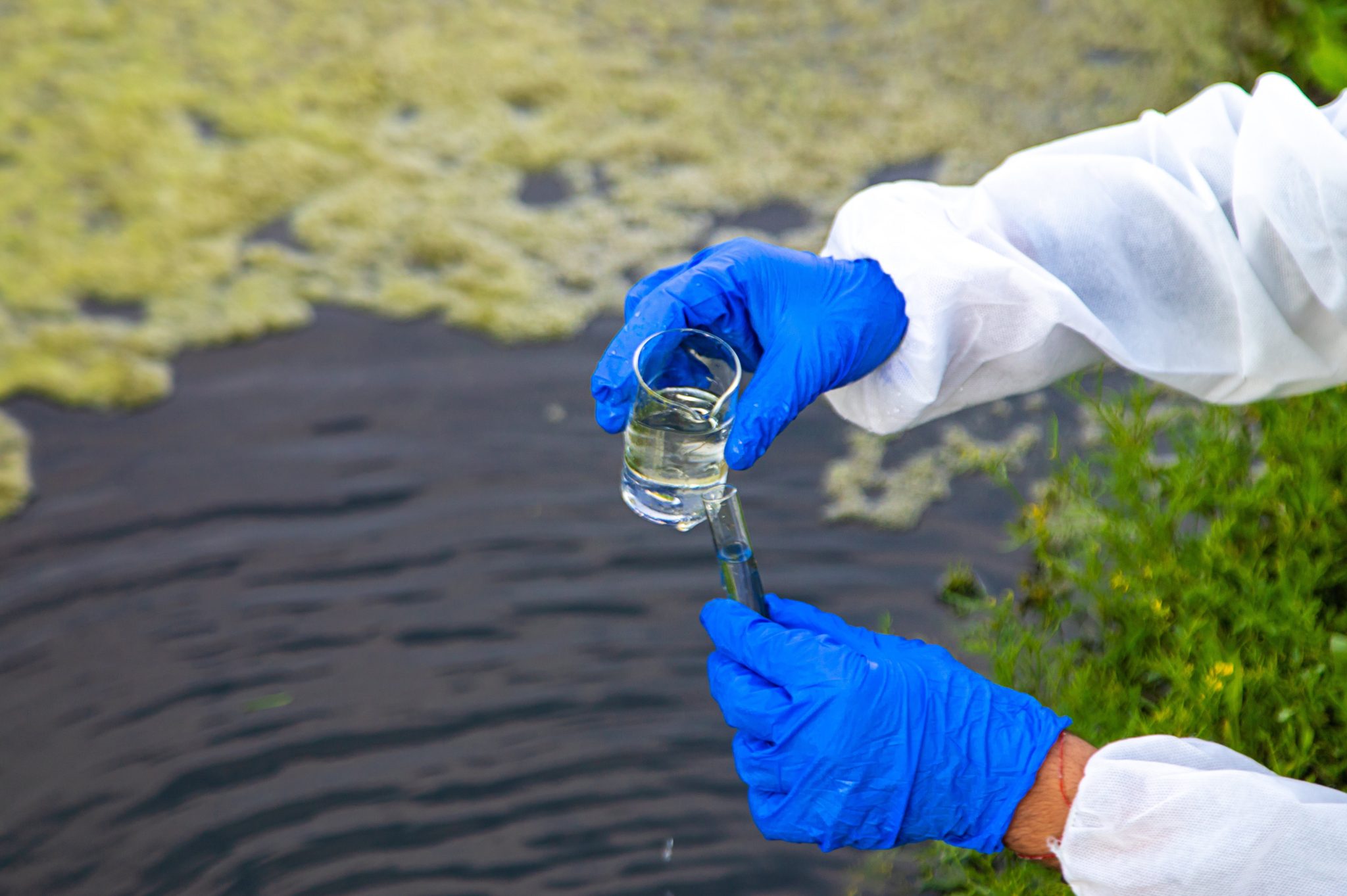 Water Sample Testing