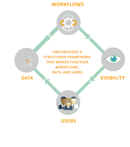 digital foundation